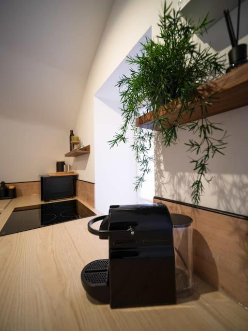 Le Cocon - Petit Studio 2 Couchages - Centre Historique Aubagne Kültér fotó